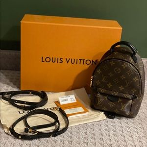 New Mini Palm Springs 2020 Louis Vuitton Monogram